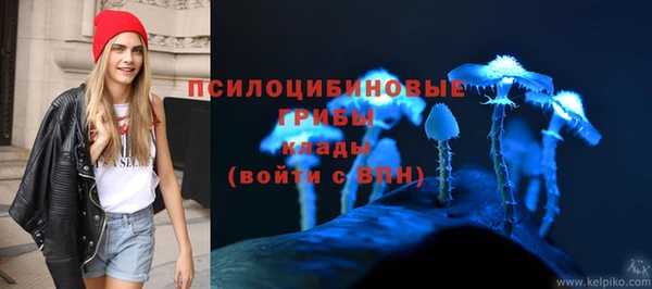 крисы Арсеньев